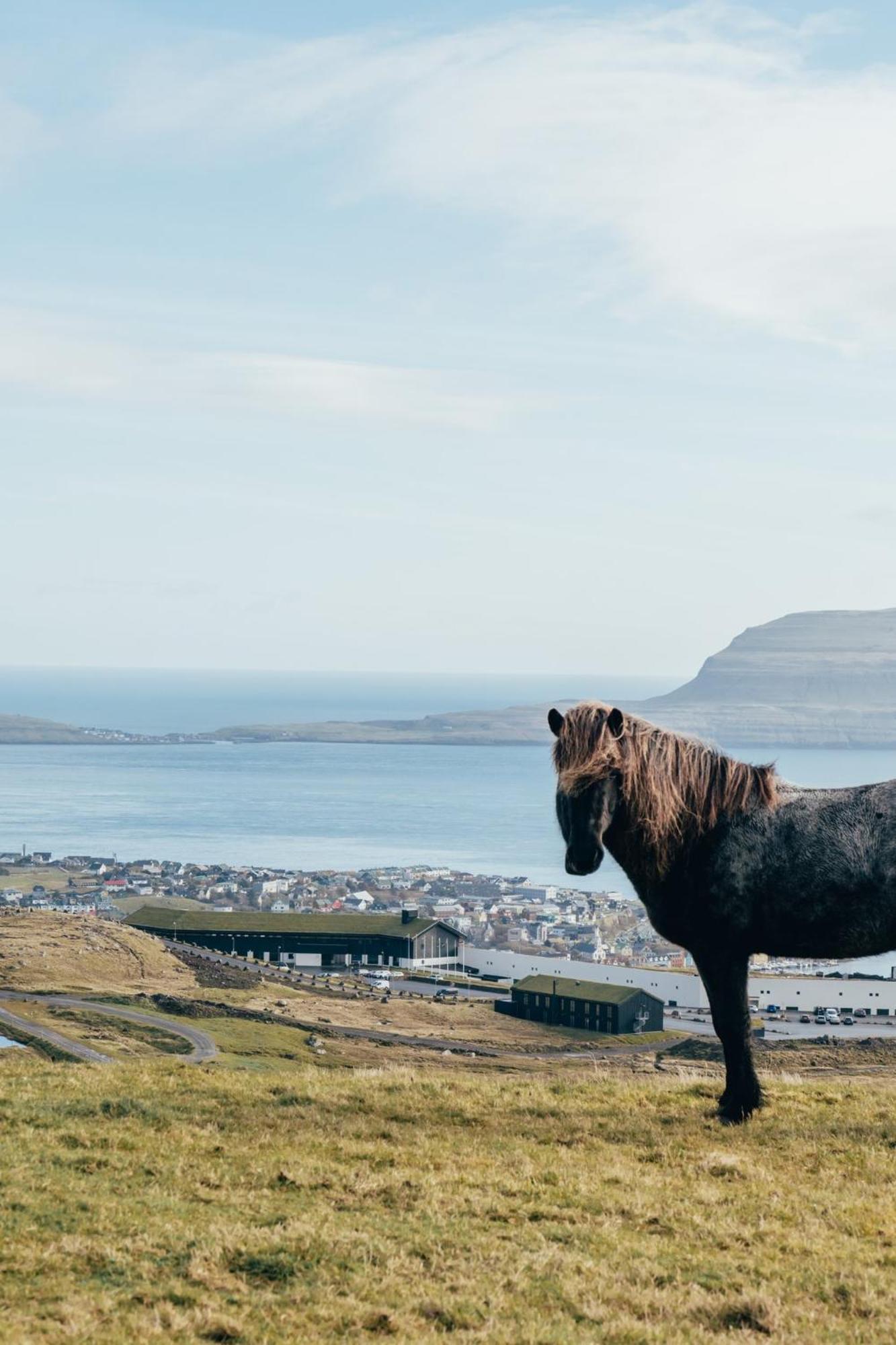 Hotel Føroyar Tórshavn Eksteriør bilde